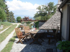  Stanarjevi Štanjel Slovenija  Станьел